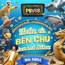 bn55